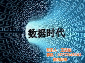 互聯(lián)網(wǎng)教育與大數(shù)據(jù)精準(zhǔn)營銷 實(shí)戰(zhàn)演練驅(qū)動(dòng)銷售變革